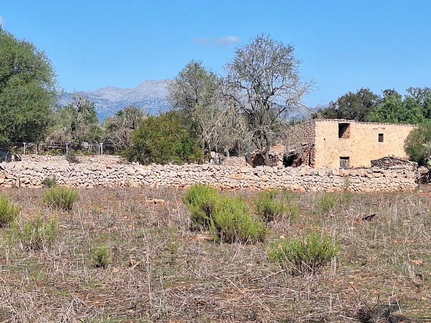 Country homes for sale in Costitx