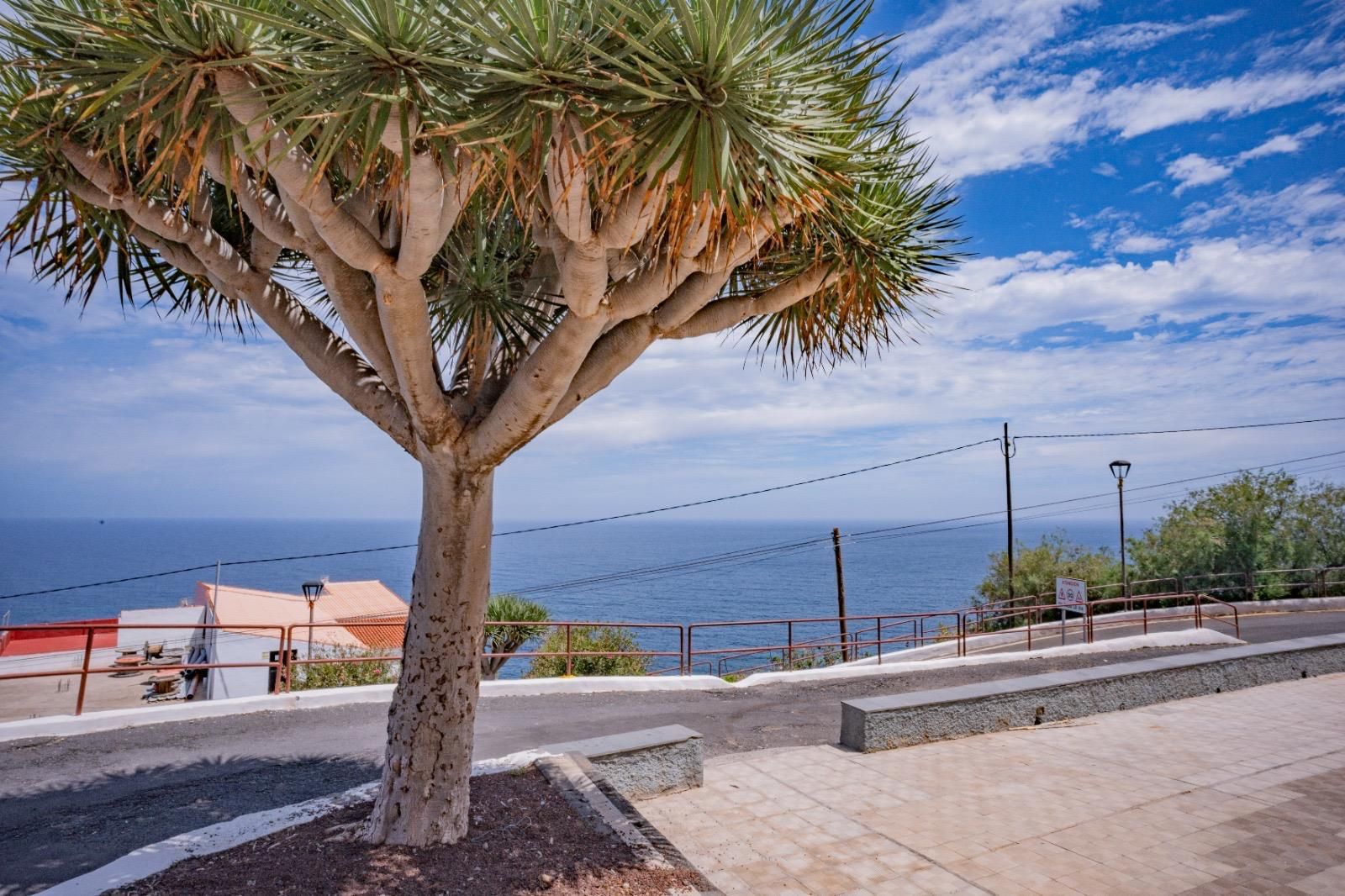 House or chalet for sale in Carretera Almaciga, Anaga