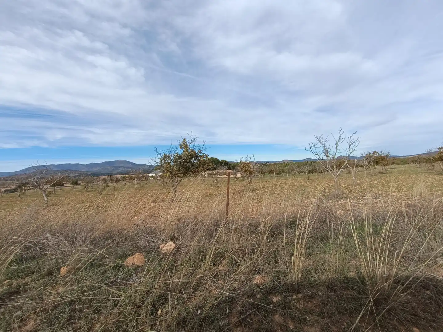 Terreno rustico in vendita a N/A, imagen 11