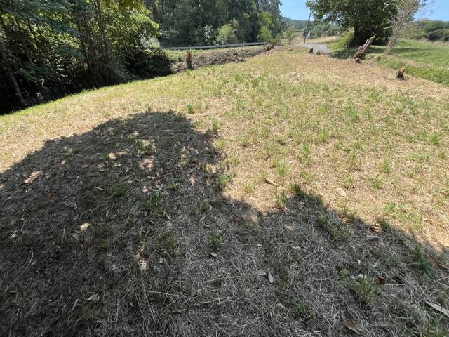 Terreno residencial en Venta en Illas - TABORNEDA en Illas