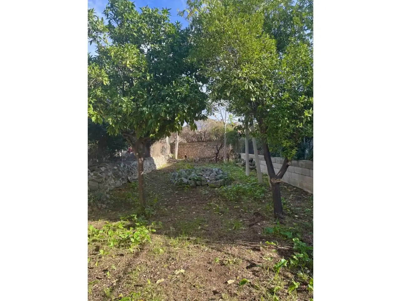 Casa amb jardí de lloguer a Calle Porrossar, imagen 16