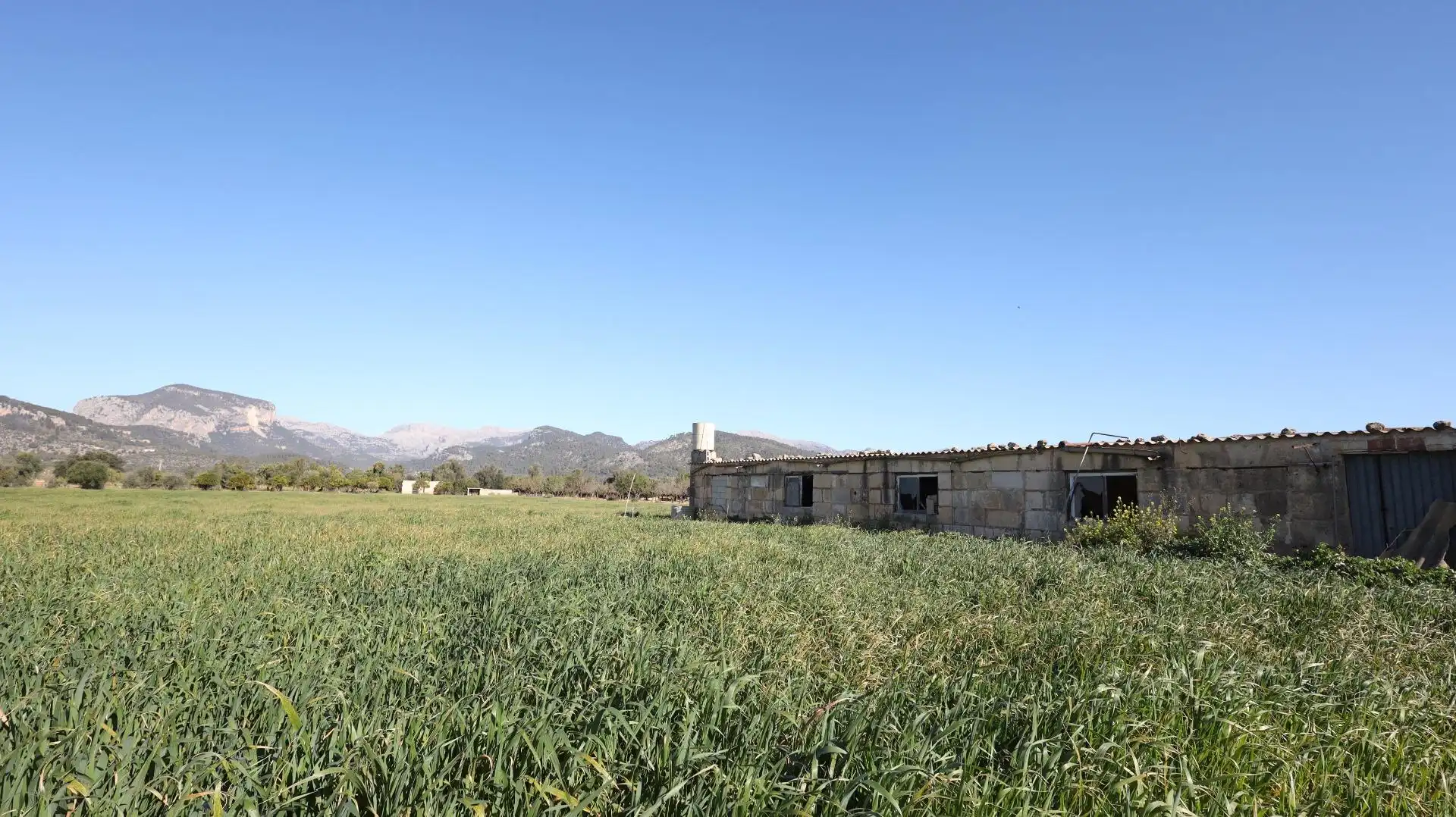 Terreno rustico in vendita a Binissalem, imagen 4