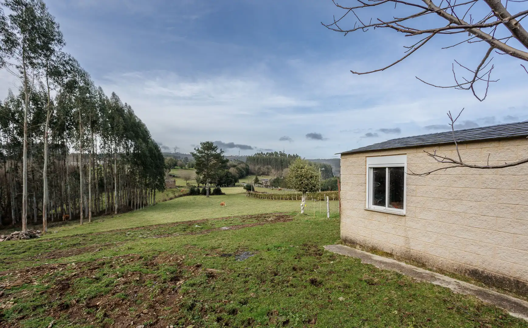 Finca rústica en venta en Mañón