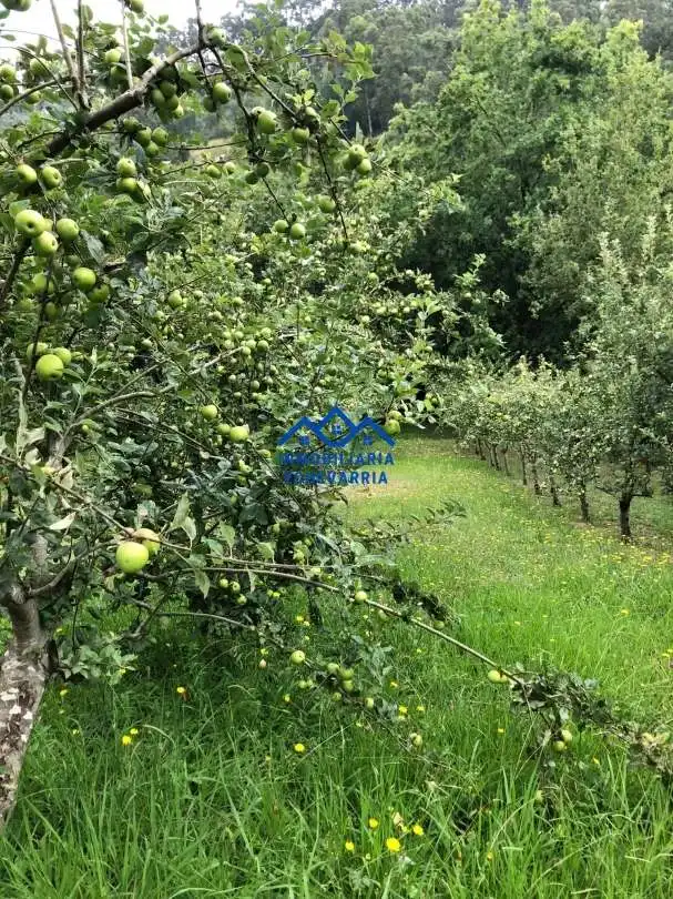 Xalet amb jardí en venda a Berango, imagen 80
