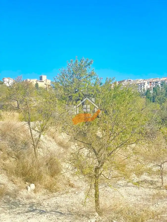 Lands and plots for sale in Vélez-Blanco, imagen 13