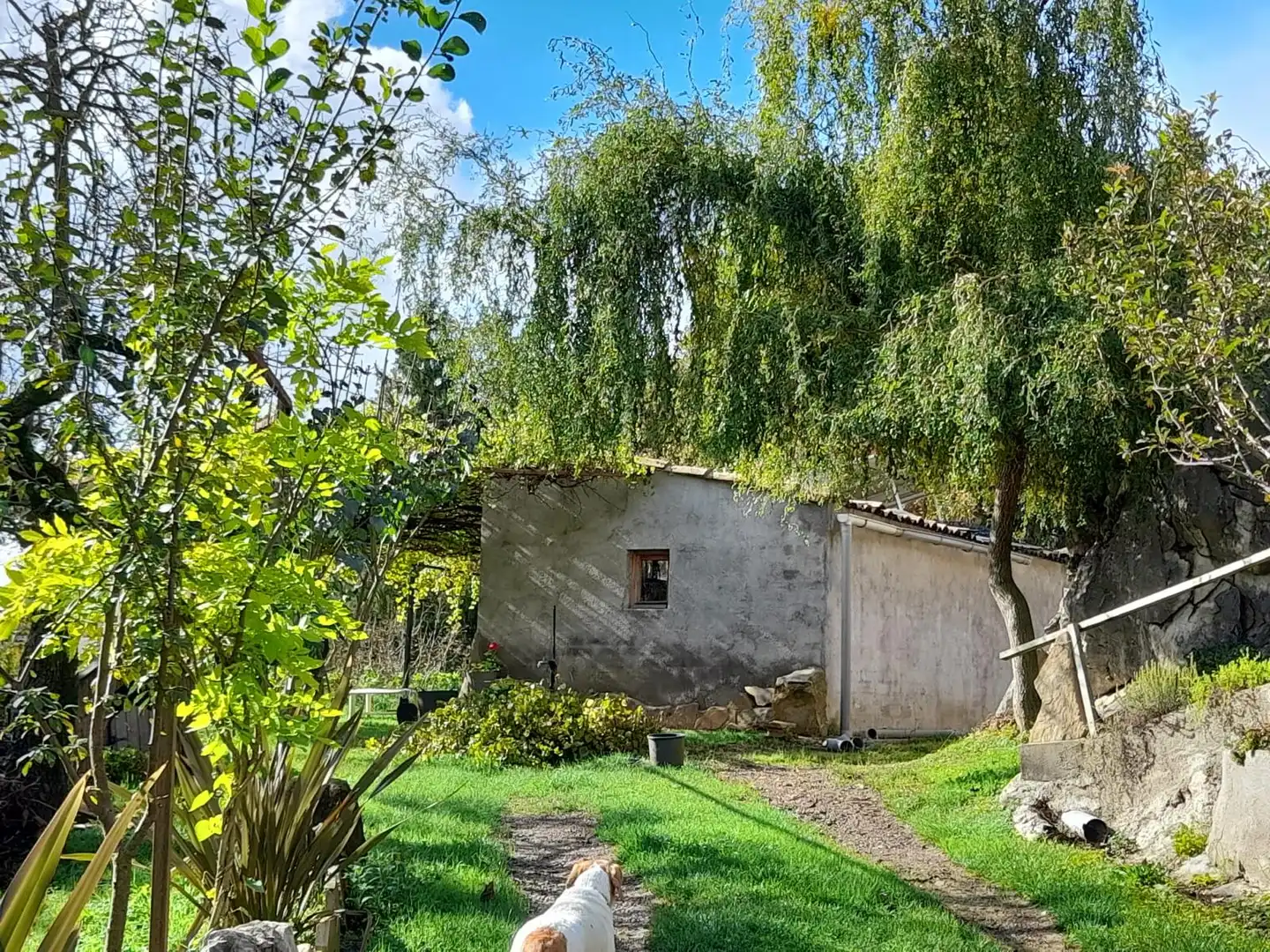 Terreny rústic en venda a Berga, imagen 7
