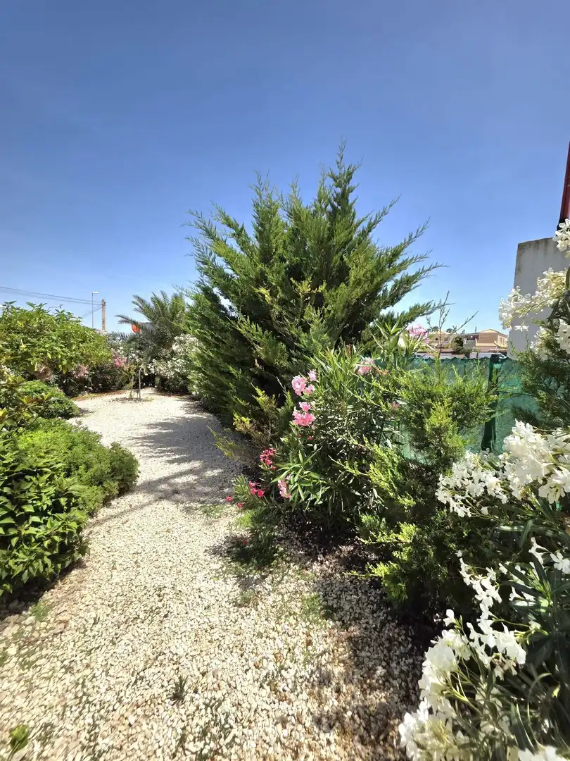 Jardí de Casa o xalet en venda en Torrevieja amb Aire condicionat, Jardí privat i Terrassa