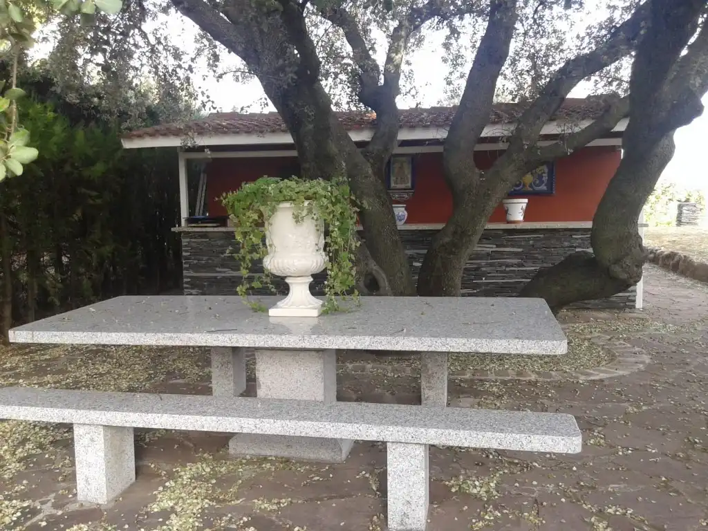 Terrassa de Casa o xalet en venda en Las Rozas de Madrid