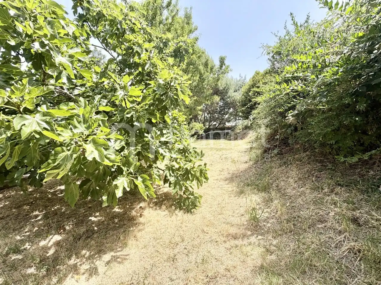 House for sale in Avinguda dels Arbres, imagen 46