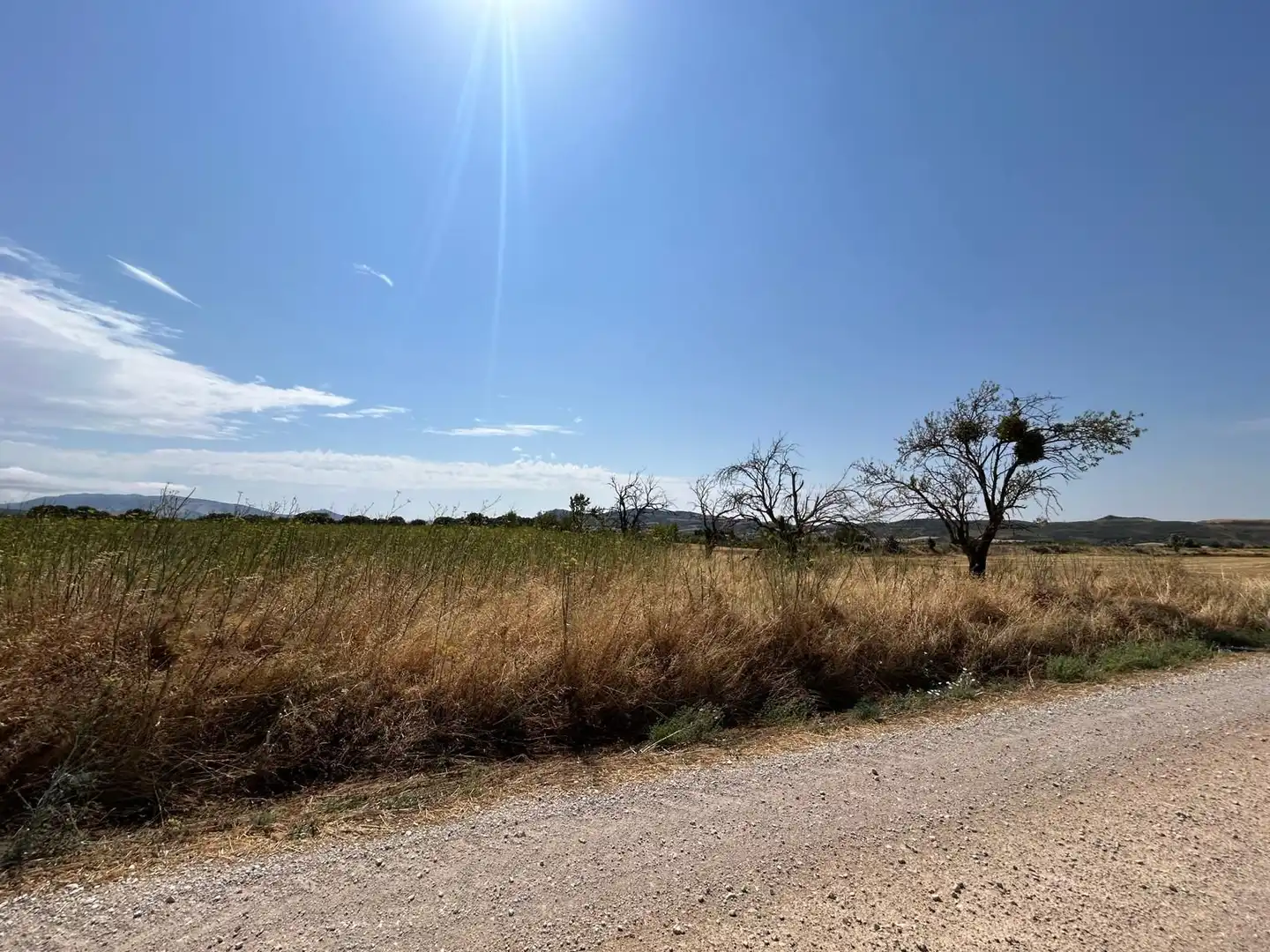 Terreny rústic en venda a 123 poligono 3, imagen 17