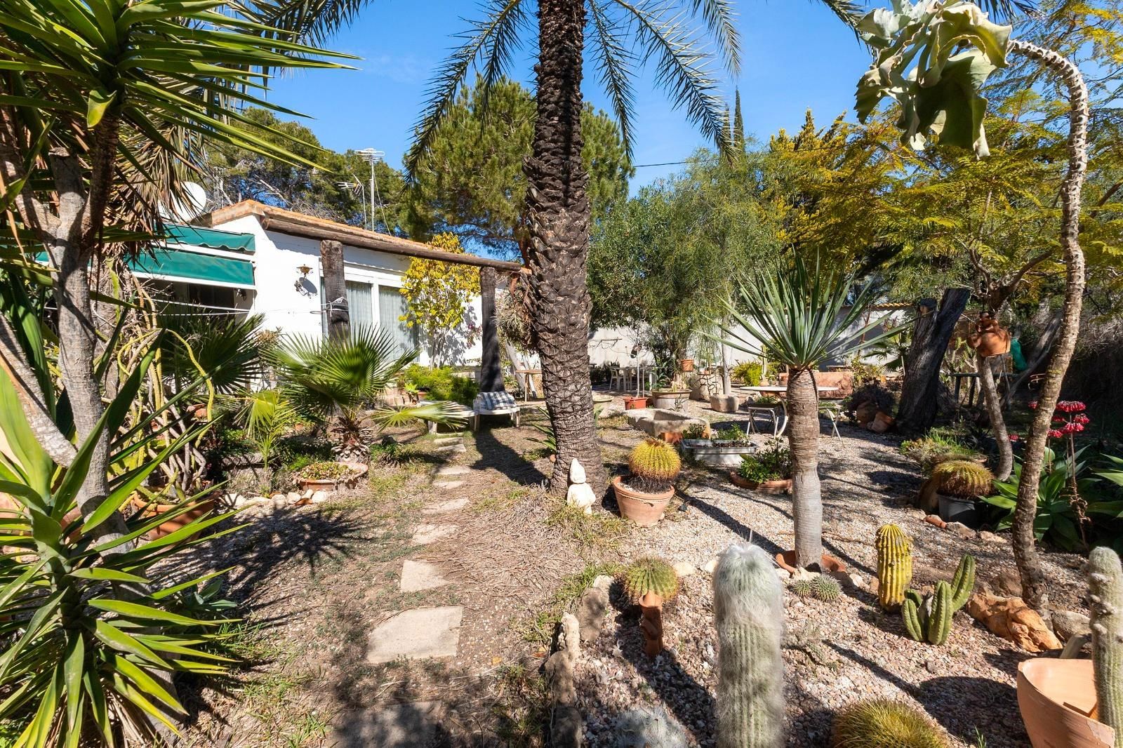 Jardín de Casa o chalet en venta en Orihuela