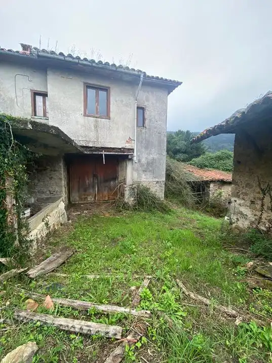 Vista exterior de Finca rústica en venta en Salas