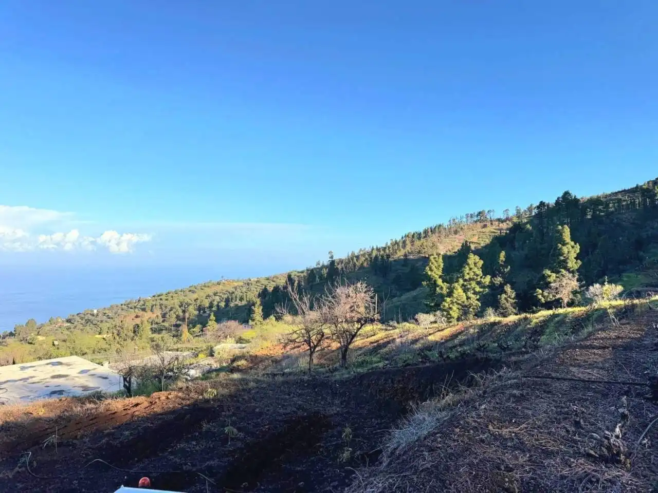 Rural land for sale in N/A, imagen 6