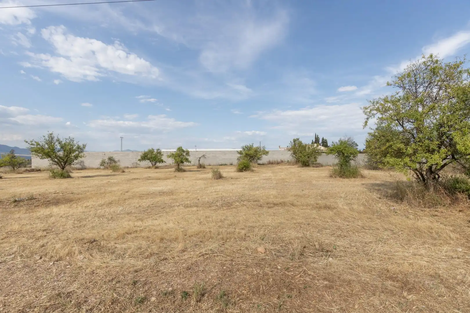 Rural land for sale in Moraleda de Zafayona, imagen 10
