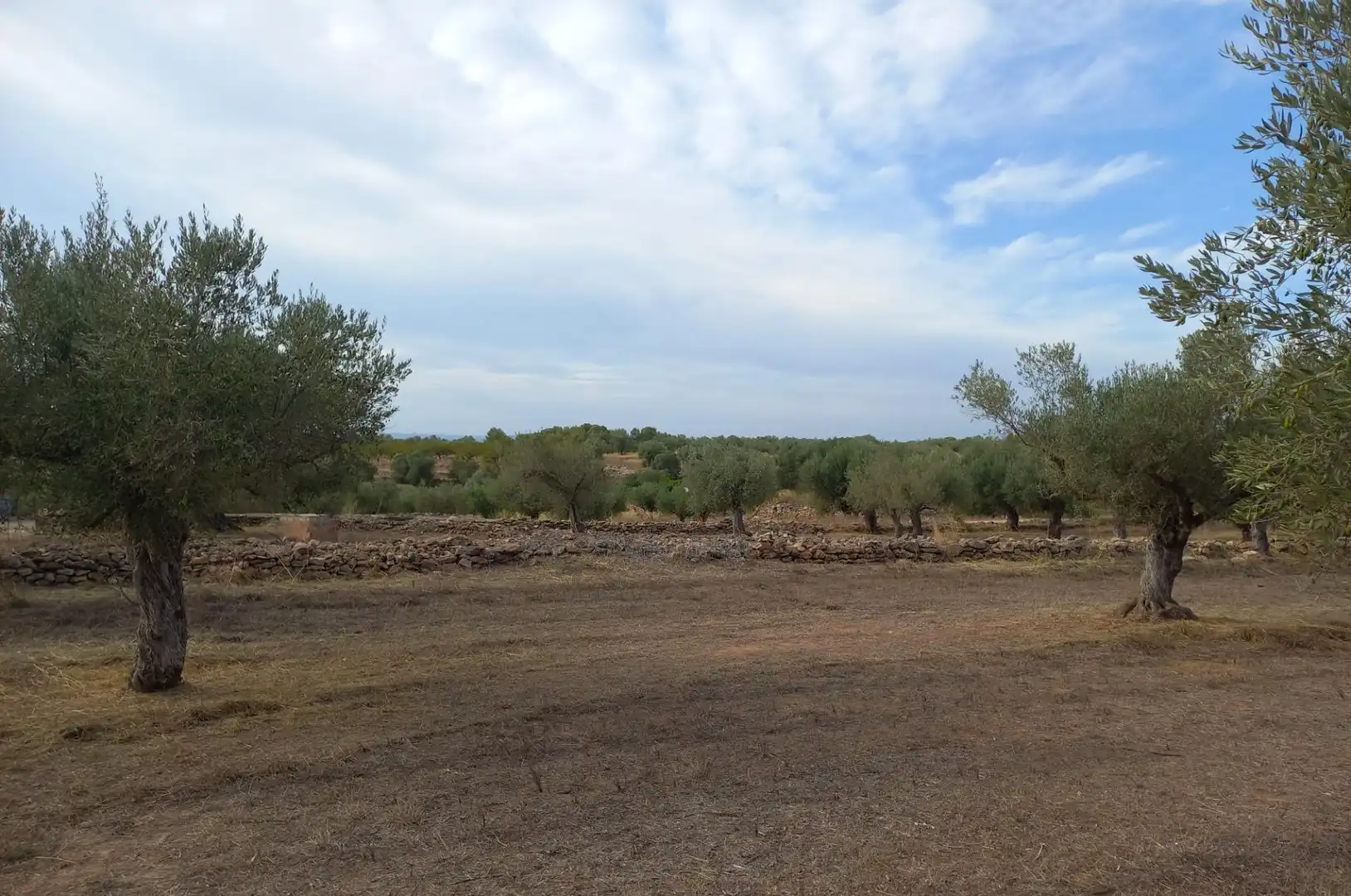 Finca rústica en venta en Tivissa