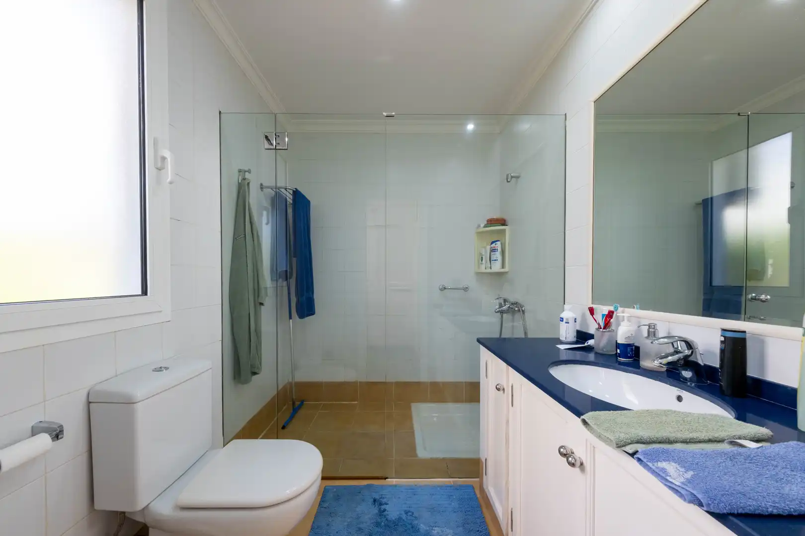 Bany de Casa o xalet en venda en Las Palmas de Gran Canaria amb Jardí privat, Terrassa i Traster