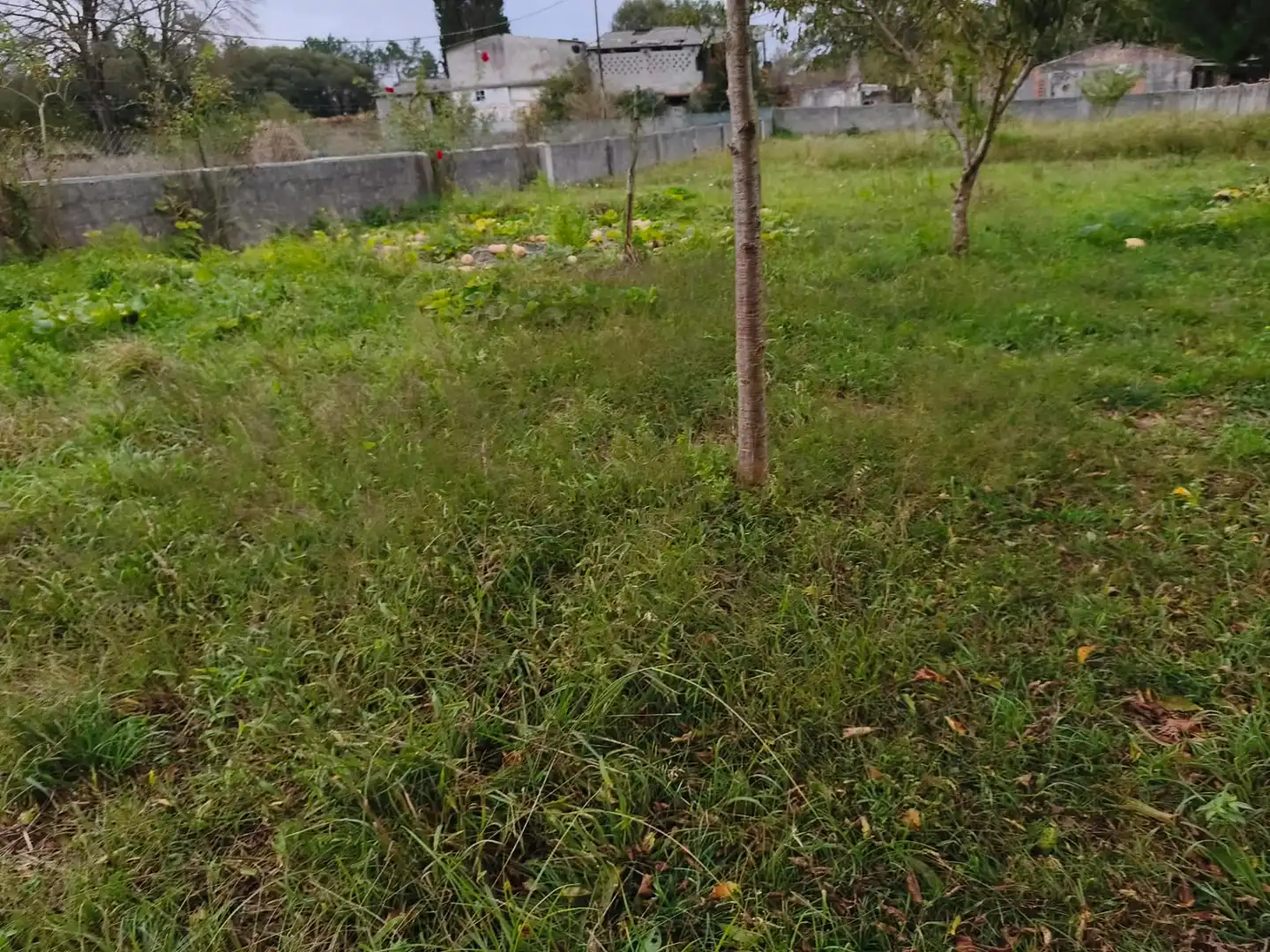 Wohnbaugrundstück zum Verkauf in Avenida Malpica 97, imagen 11