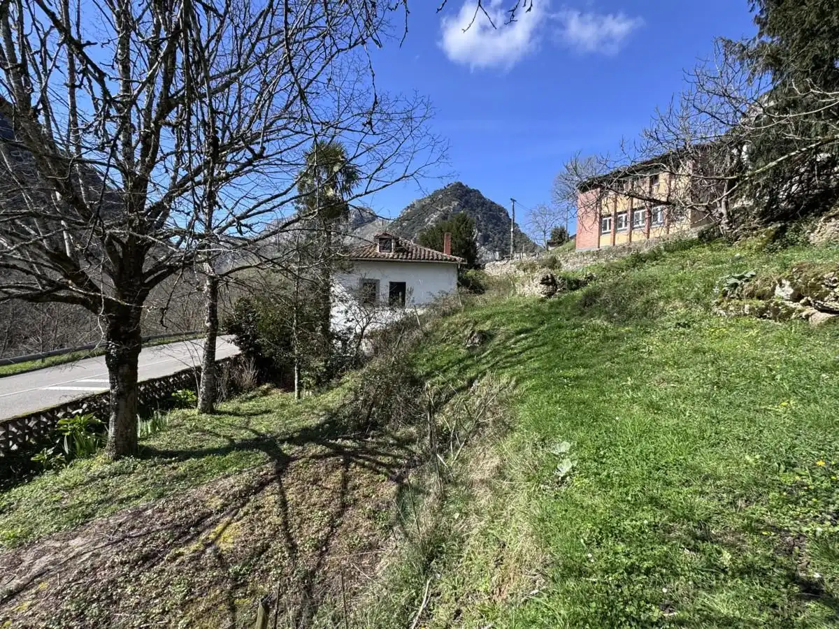 Country homes for sale in Peñamellera Alta  with Private garden