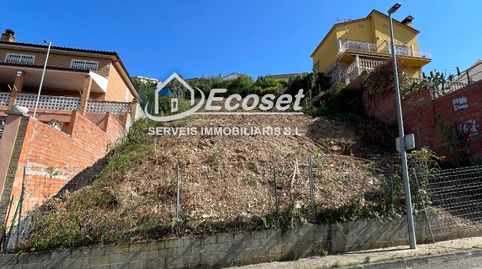 CALLE TRANQUILA, immagine 4