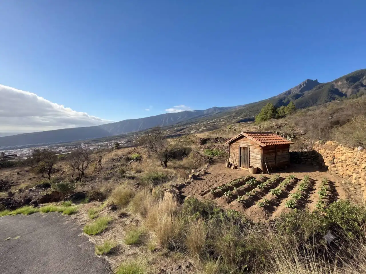 Rural land for sale in Camino Montesinas, imagen 18