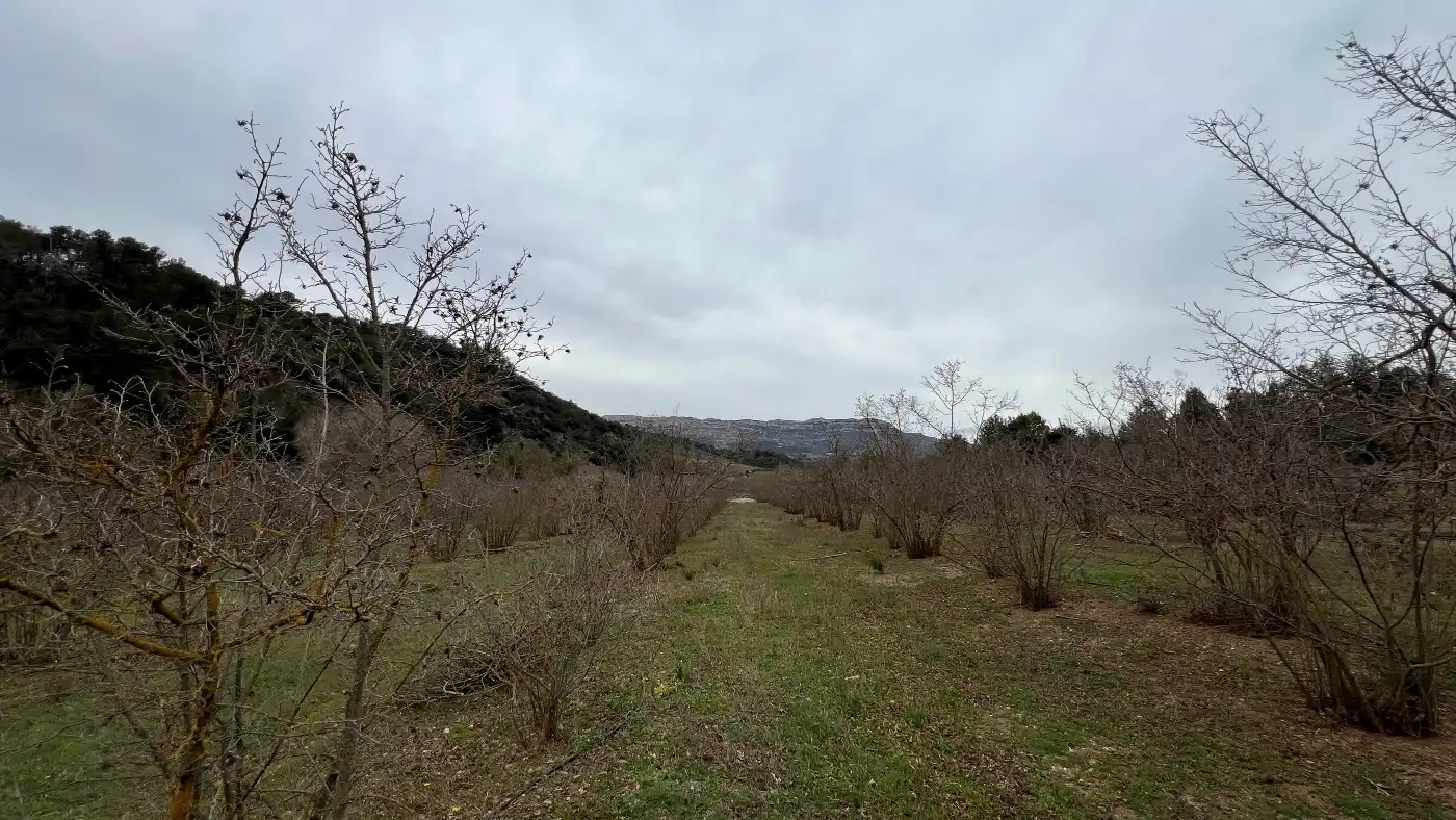 Casa o chalet en venta en C-242, 48, Cornudella de Montsant