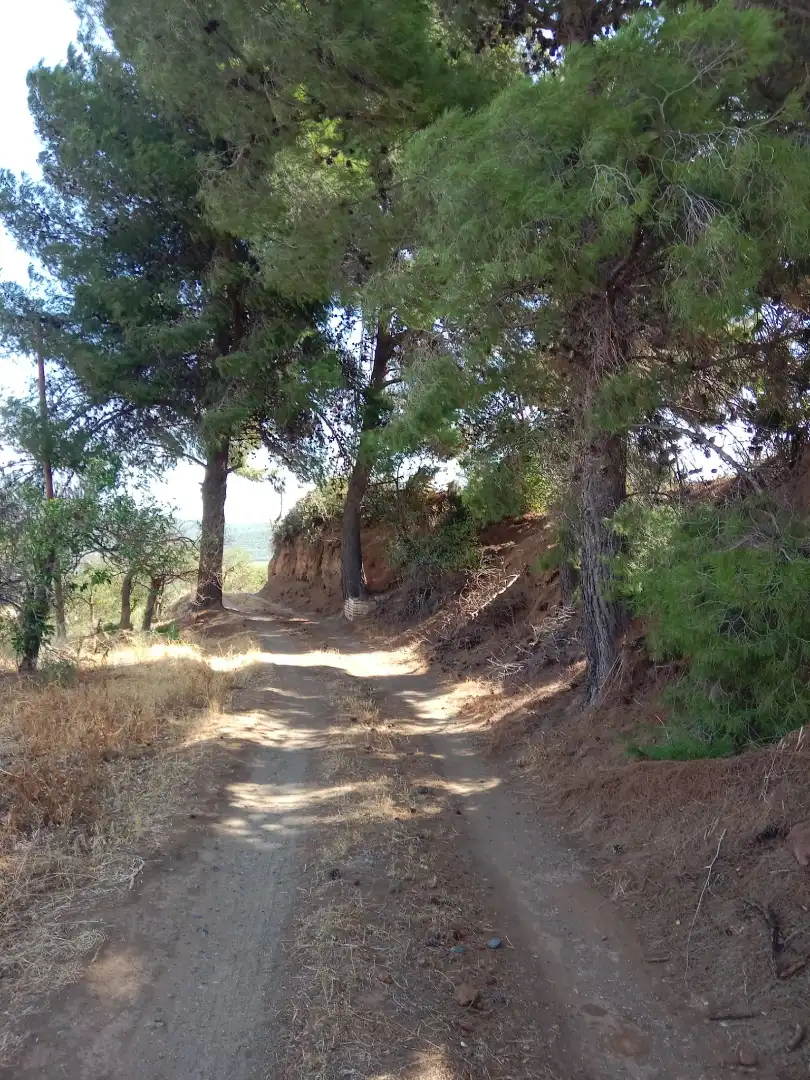 Exterior view of Country homes for sale in Álora  with Furnished