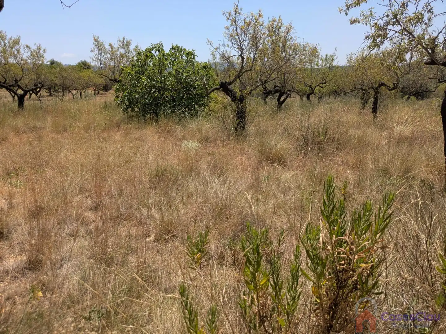 Finca rústica en venta en Vilanova d'Alcolea