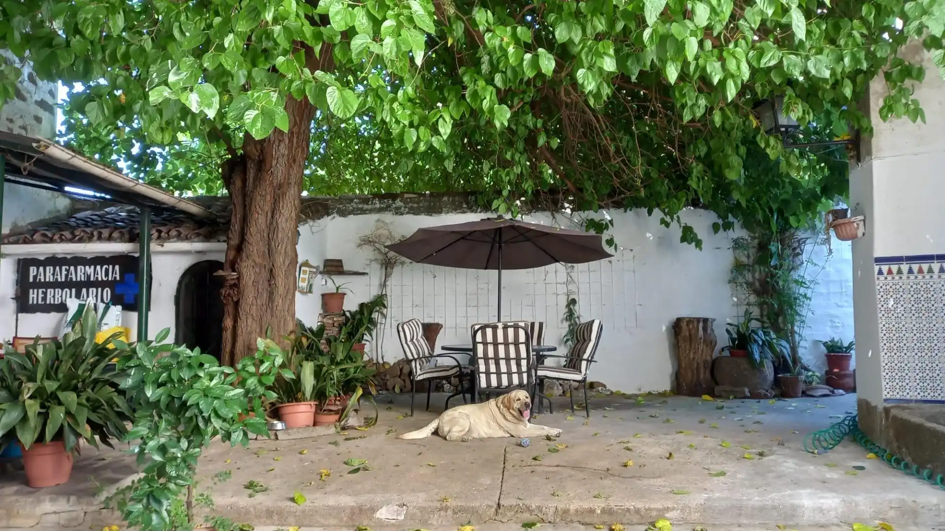 Maison à vendre à Brozas