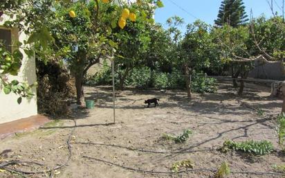 Jardí de Casa o xalet en venda en Dalías amb Jardí privat i Terrassa