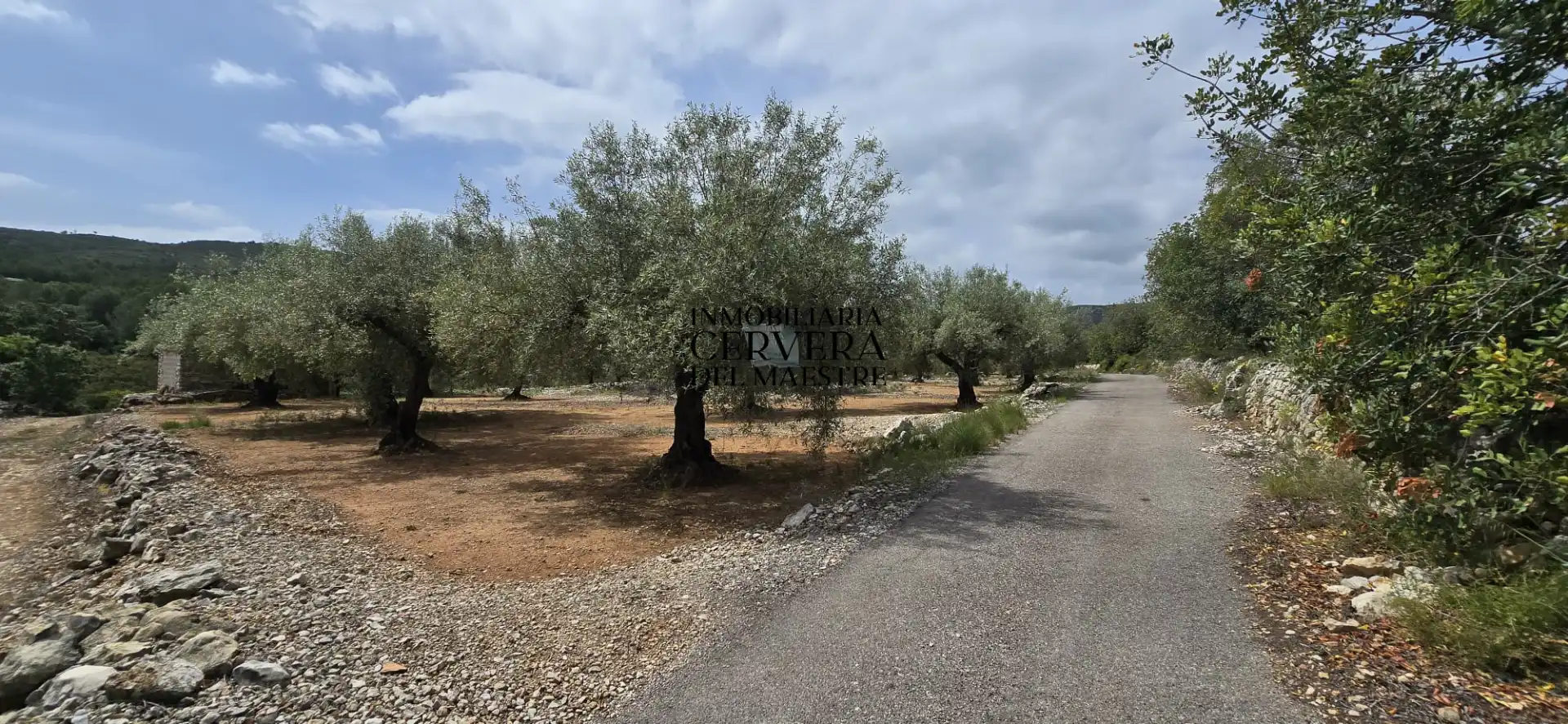 Terreno rustico in vendita a Cervera del Maestre, imagen 16