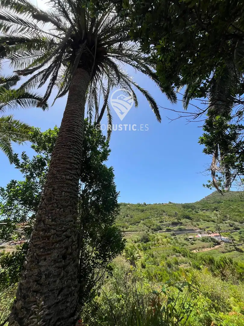 Terreno rústico en venta en Cruz de Tierno, Pol 2; Parc. 344 y 10344, imagen 17