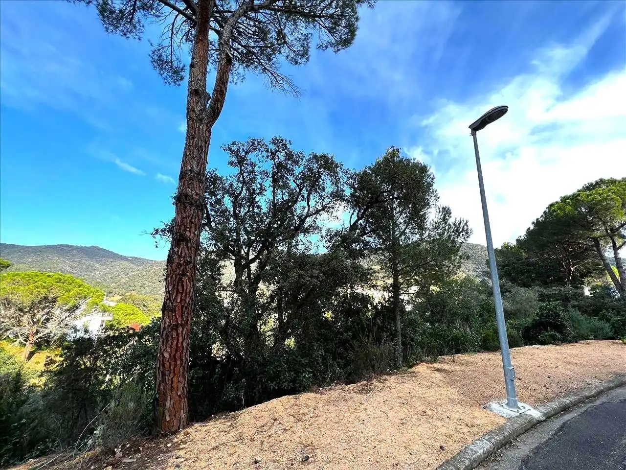 Residential land for sale in Urbanizacion de Rosamar, imagen 11