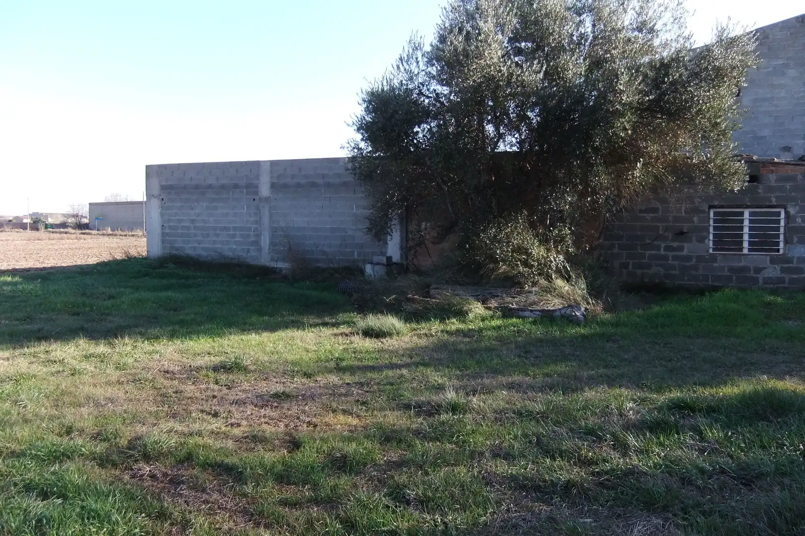 Nave industrial en venta en Torregrossa