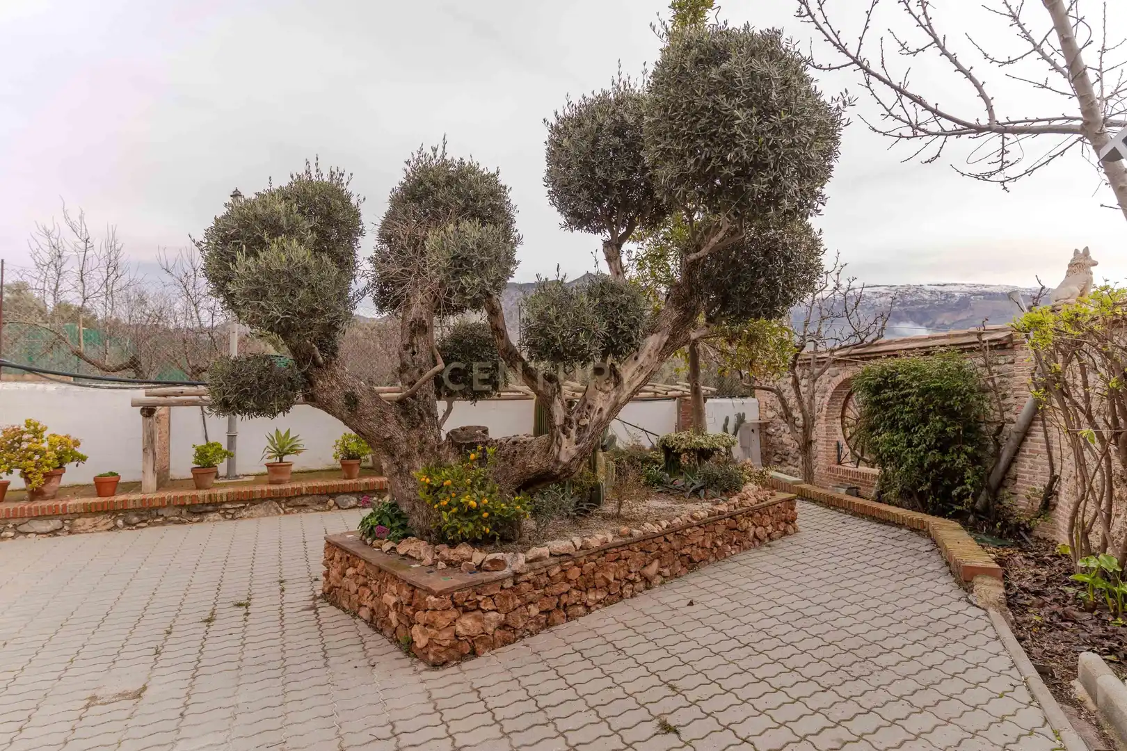 Jardín de Casa o chalet en venta en Dúrcal con Jardín privado