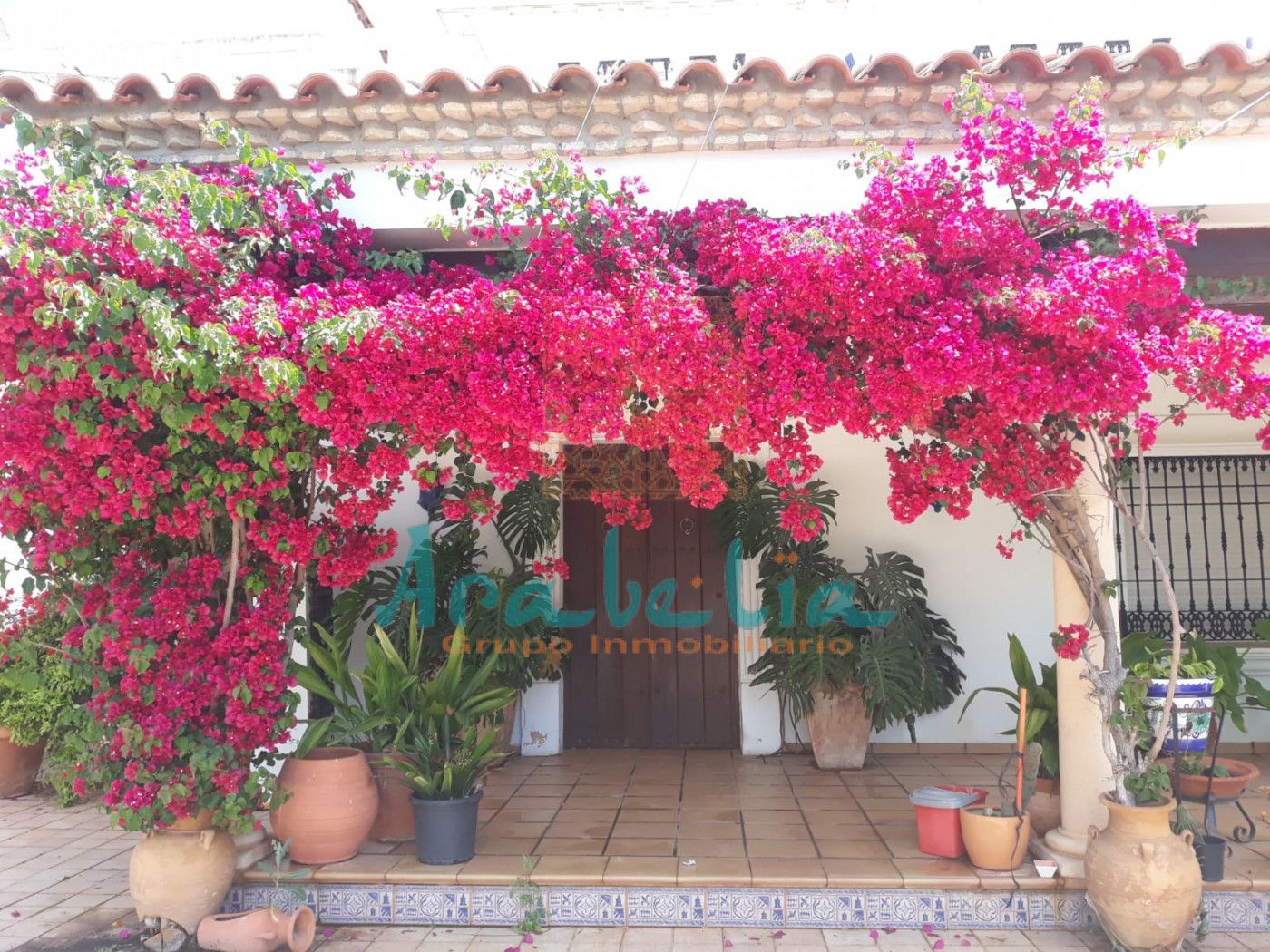 Jardí de Residencial en venda en  Córdoba Capital