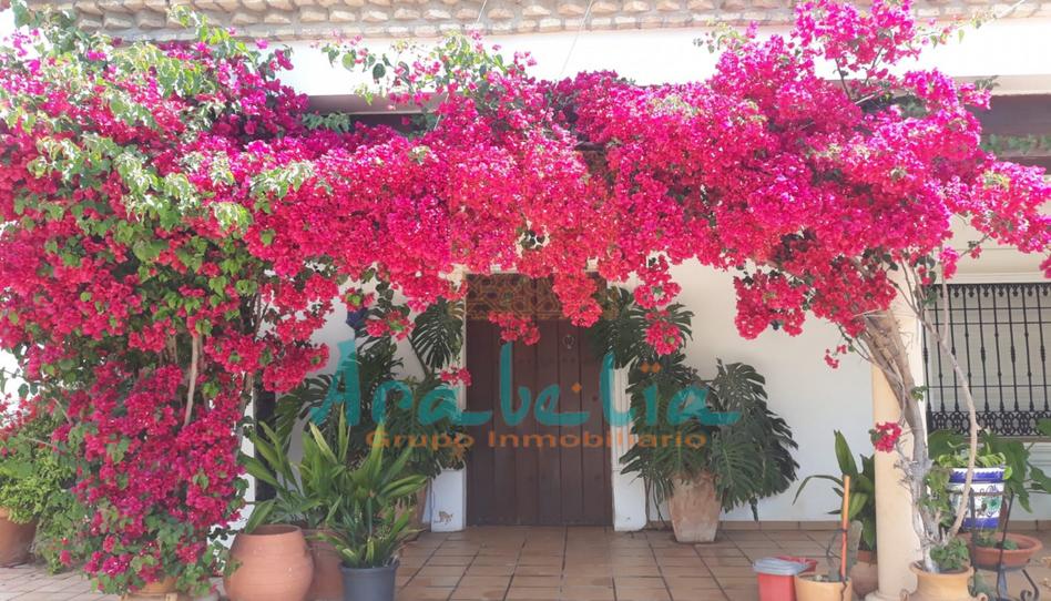 Photo 1 of Residential for sale in Sagunto - Edisol, Córdoba