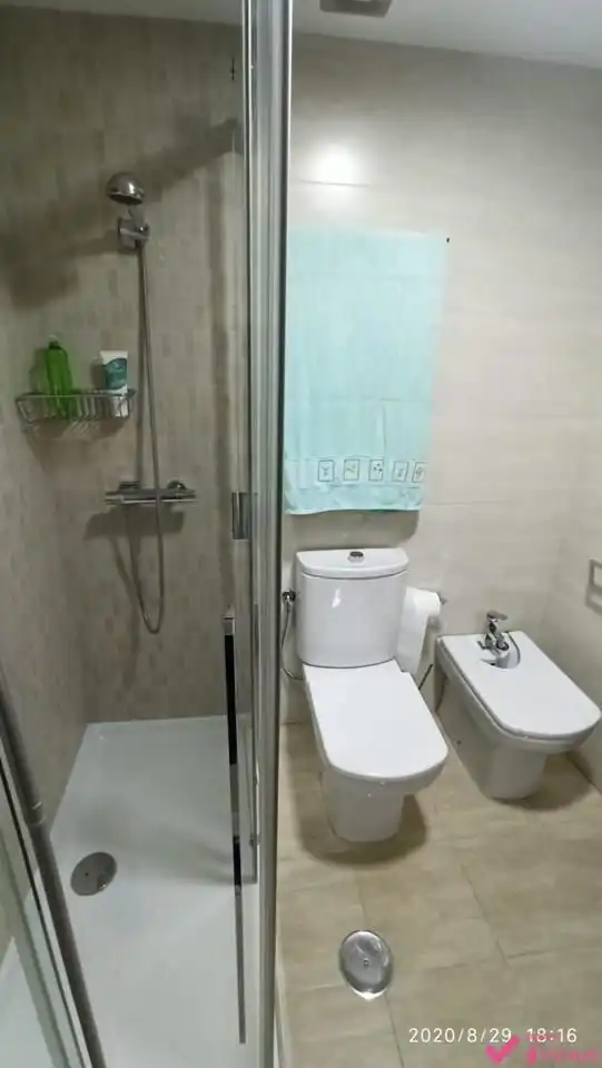 Flat with lift to rent in Calle Profesor Francisco Dalmau, imagen 21