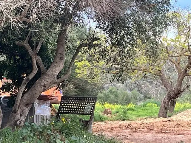 Casa rústica amb piscina en venda a Manacor Centre, imagen 12