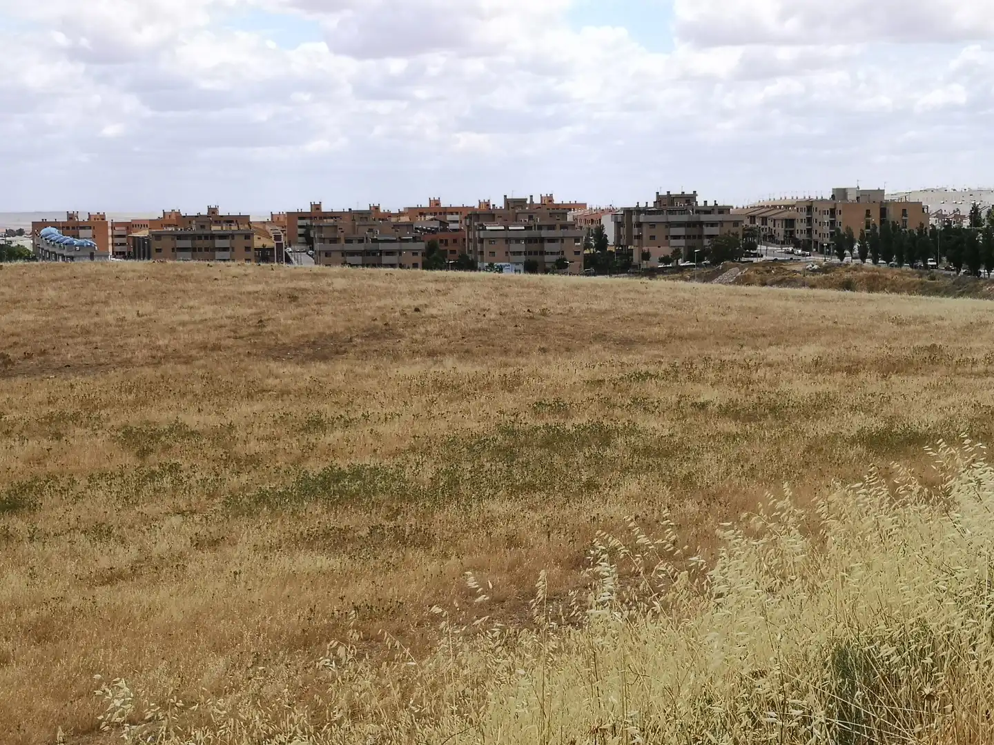 Wohnbaugrundstück zum Verkauf in PARAJE LA MORALEJA POLIGONO 13, PARCELA 105, imagen 18