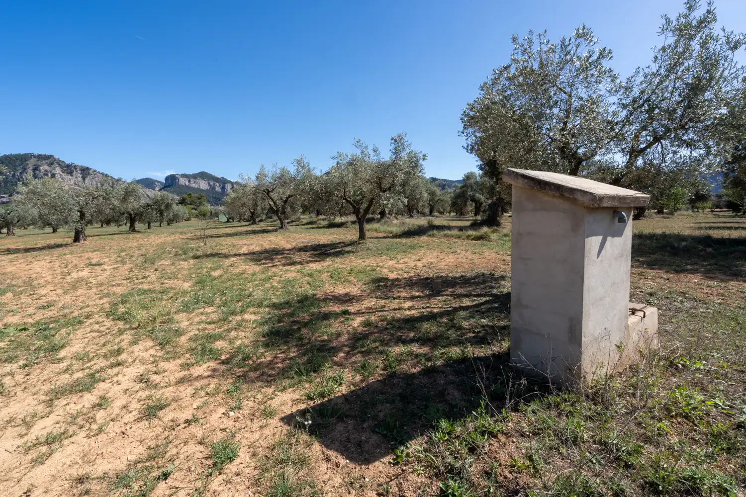 Rural land for sale in Raval dels Àngels 18, imagen 21