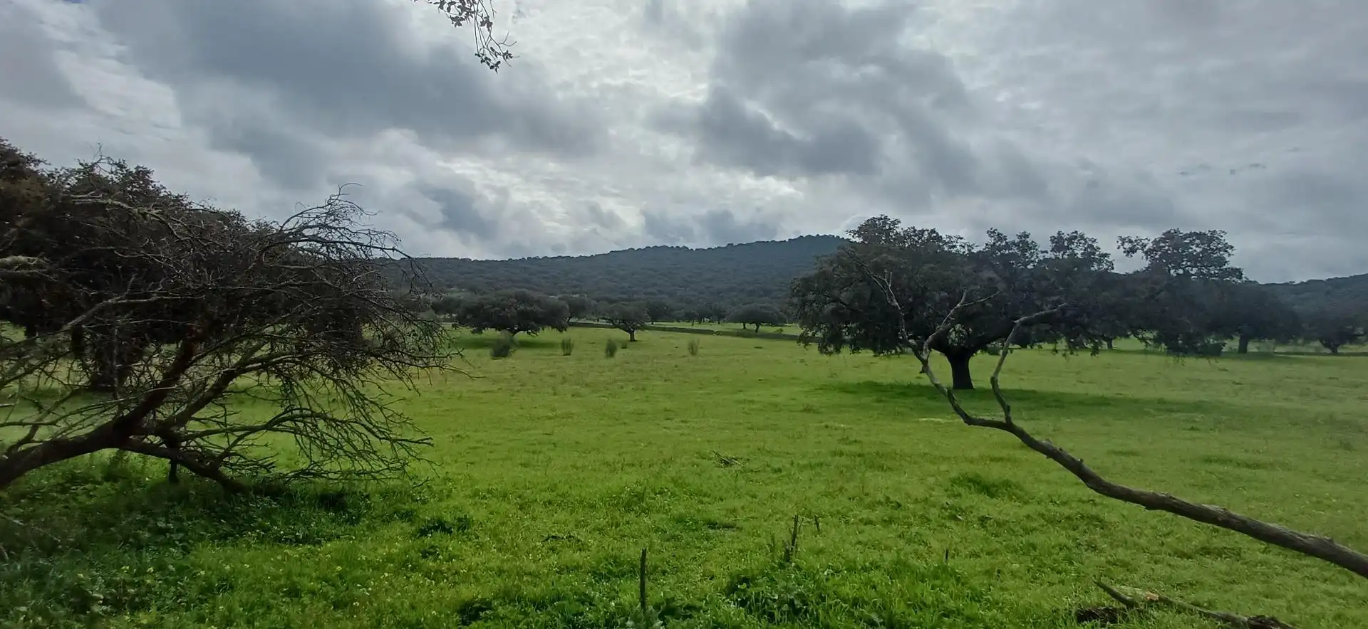 Finca rústica en venta en Jerez de los Caballeros