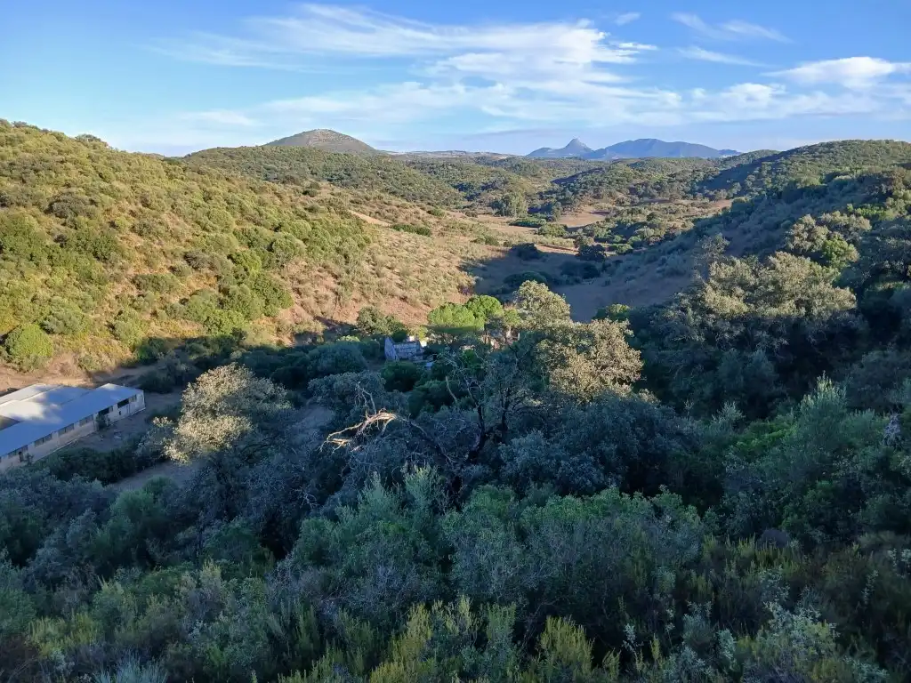 Residential for sale in Morón de la Frontera