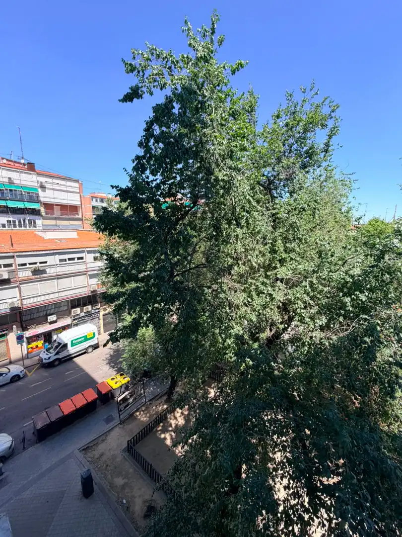 Vista exterior de Piso en venta en Madrid con Amueblado