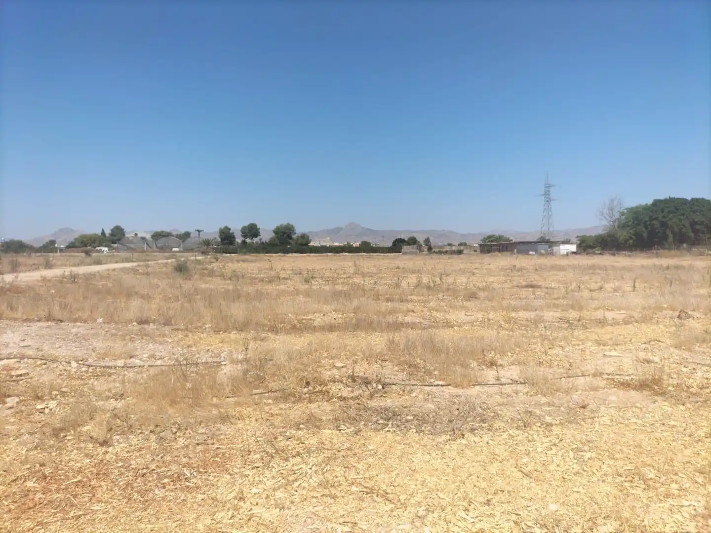 Rural land for sale in La Murada - Los Vicentes, imagen 6