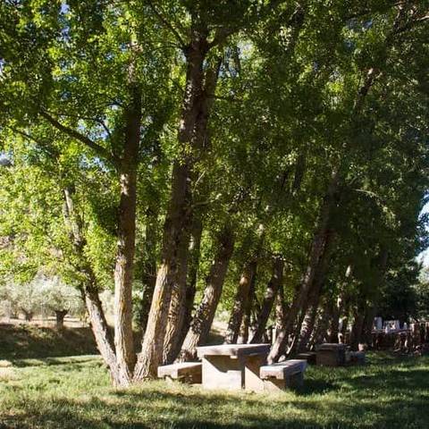 Terreno en Alquiler en  Polígono 6 Parcela 151 UMBRIA MARTINA. FRAILES (J en Frailes