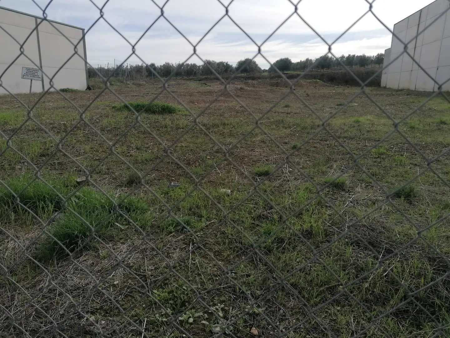 Industriegrundstück zum Verkauf in La Carlota, imagen 2