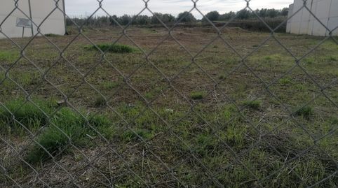 PARCELA INDUSTRIAL EN LA CARLOTA, imagen 2