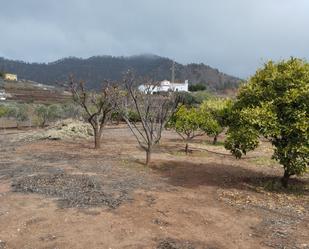 Jardí de Casa o xalet en venda en Artenara amb Terrassa