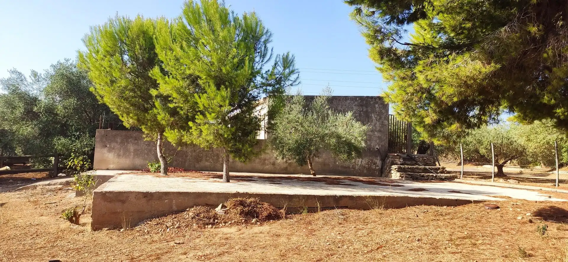 Finca rústica en venda a Eucaliptus - Poble Nou del Delta