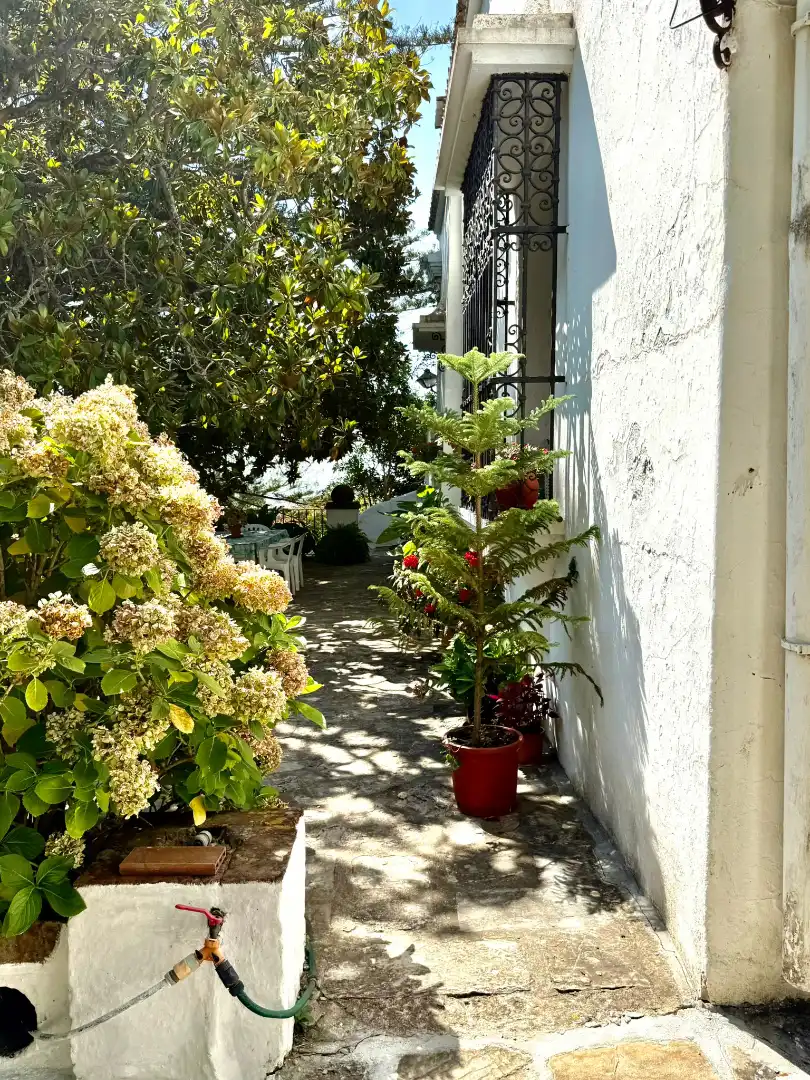 Vista exterior de Casa o chalet en venta en Algeciras con Jardín privado, Terraza y Piscina
